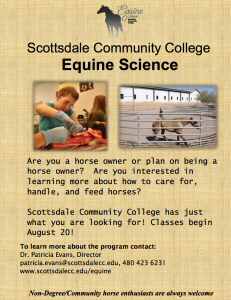 Scottsdale community college