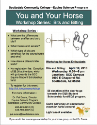 Bits & Bites Seminar